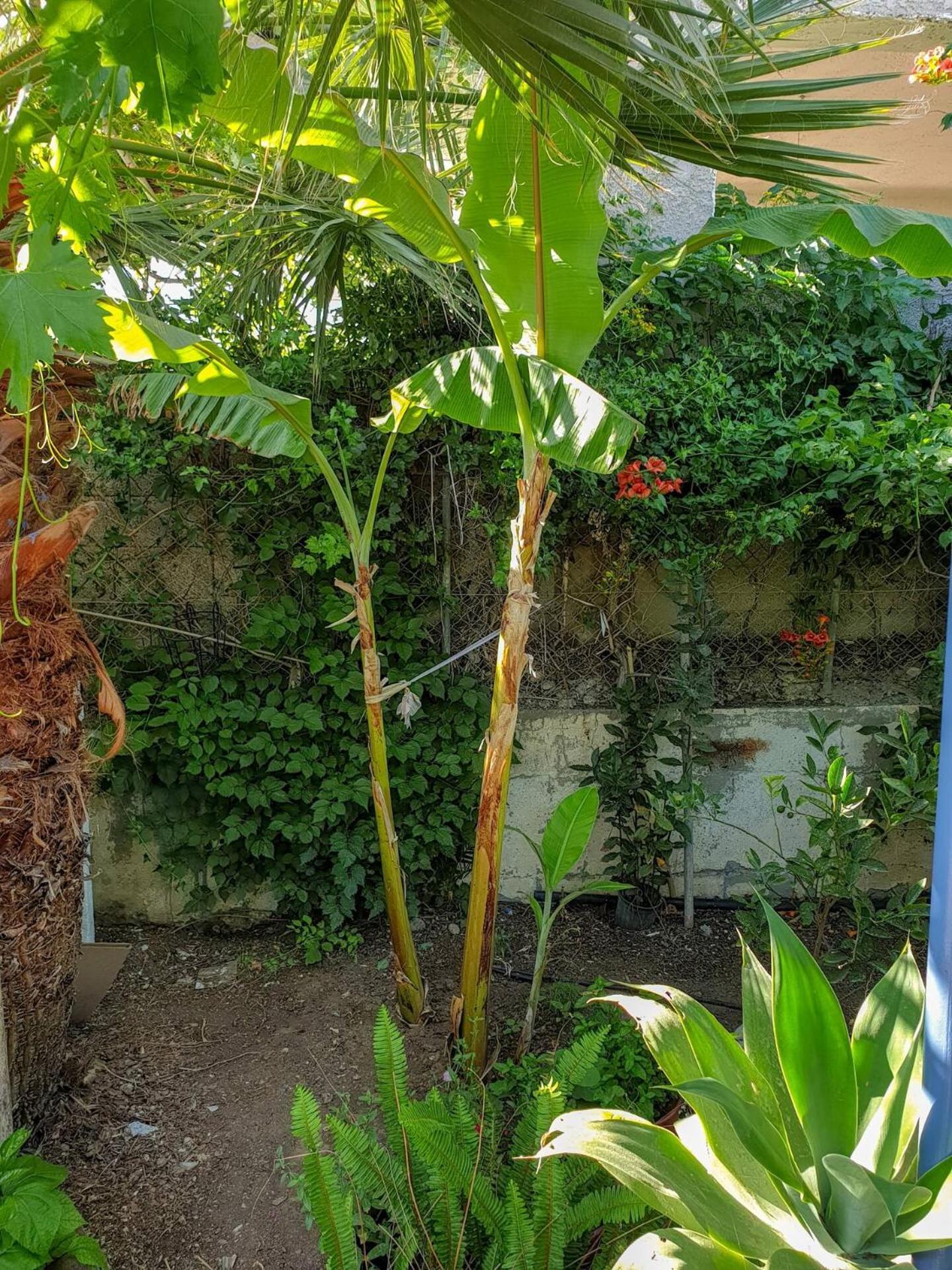 Villa Maria'S House, With Garden Kalamaki  Exterior foto